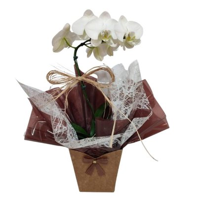 Carinho de Orquídea