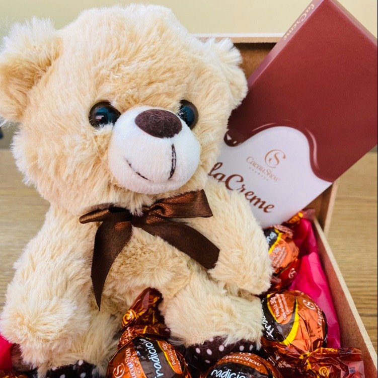 Urso de Pelúcia e Bombons