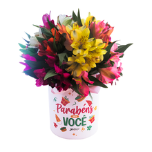 Surpresa De Astromélias Na Caixinha 