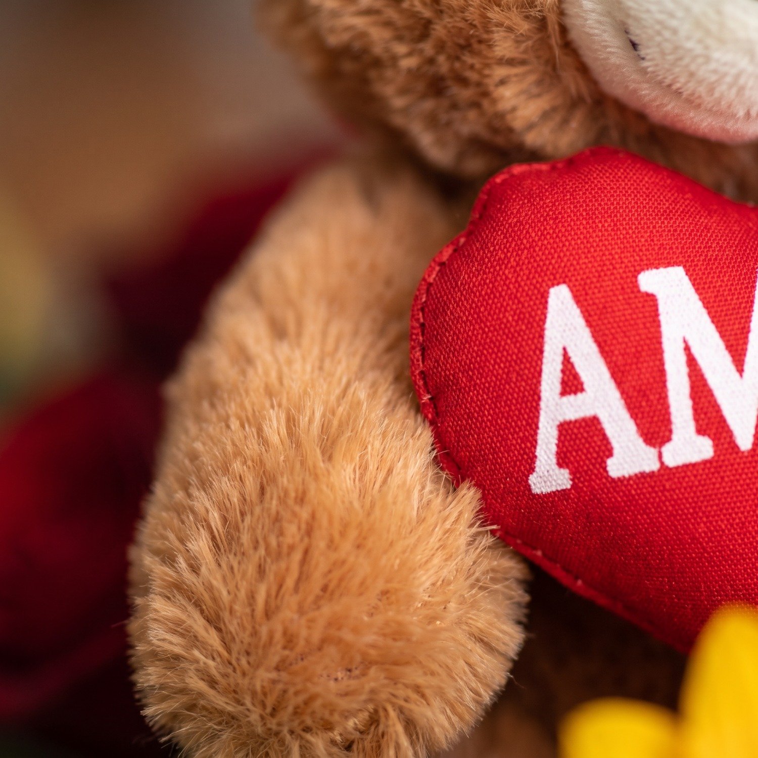 Buquê de Rosas com Girassóis Urso flor 