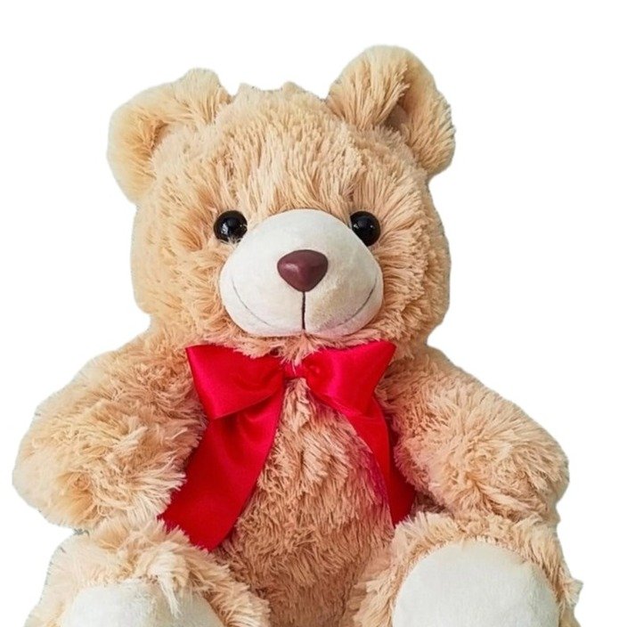 Urso de Pelúcia Fofinho