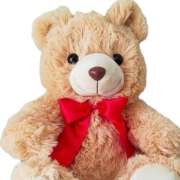 Urso de Pelúcia Fofinho