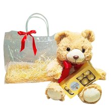 Urso de Pelúcia com Chocolate Meu Amor