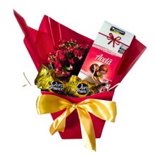 Mimo Flor da Fortuna