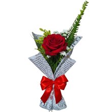 Rosa Vermelha Sorriso