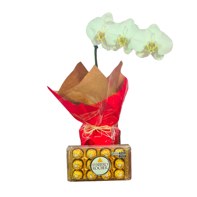 Orquídea com Ferrero