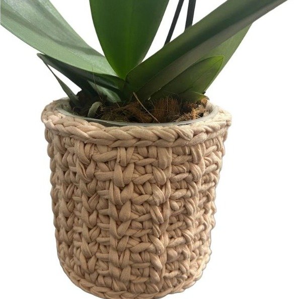 Orquídea Exotic Pink com Cachepô