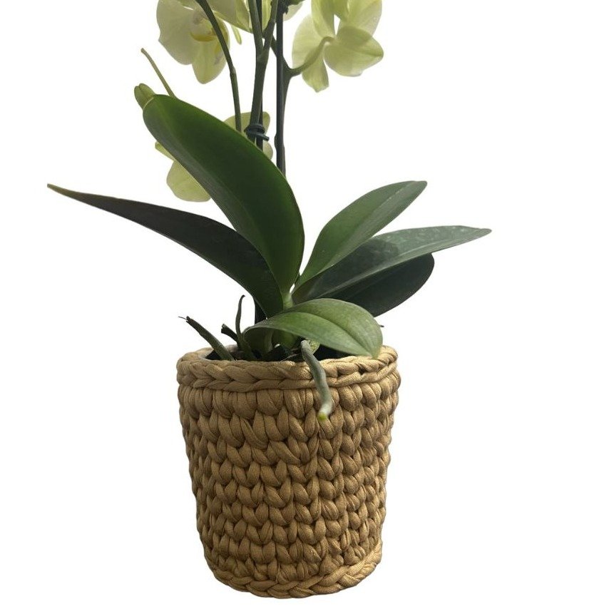Orquídea Exotic Cachepô de Fio de Malha