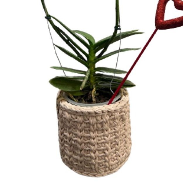 Orquídea Branca Plantada com Cachepô de Fio de Malha