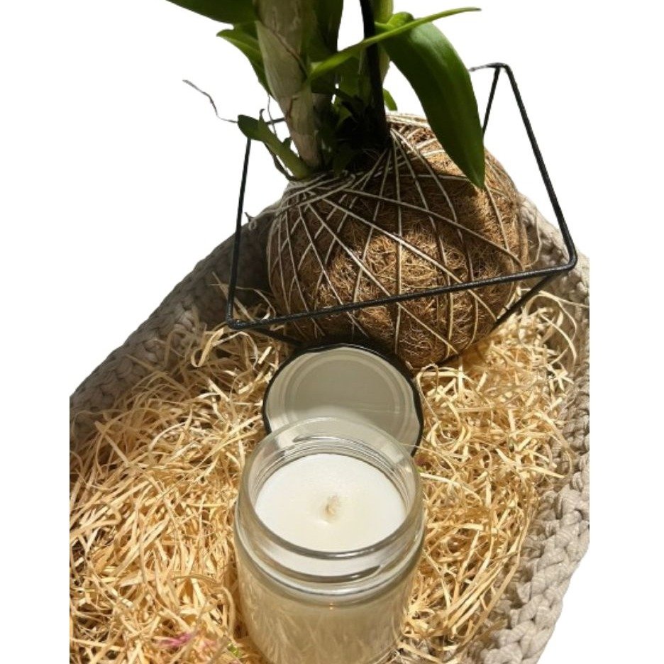 Cesto de Arranjo Kokedama de Orquídea Denphal Roxa