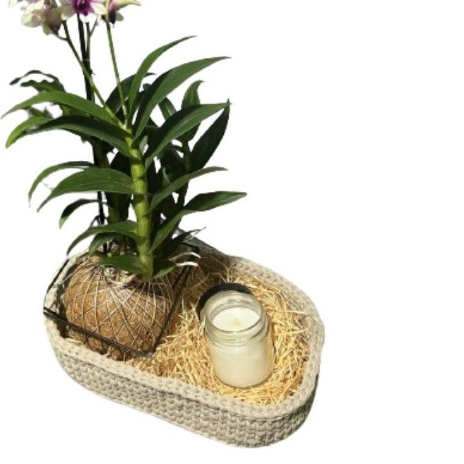 Cesto de Arranjo Kokedama de Orquídea Denphal Mesclada