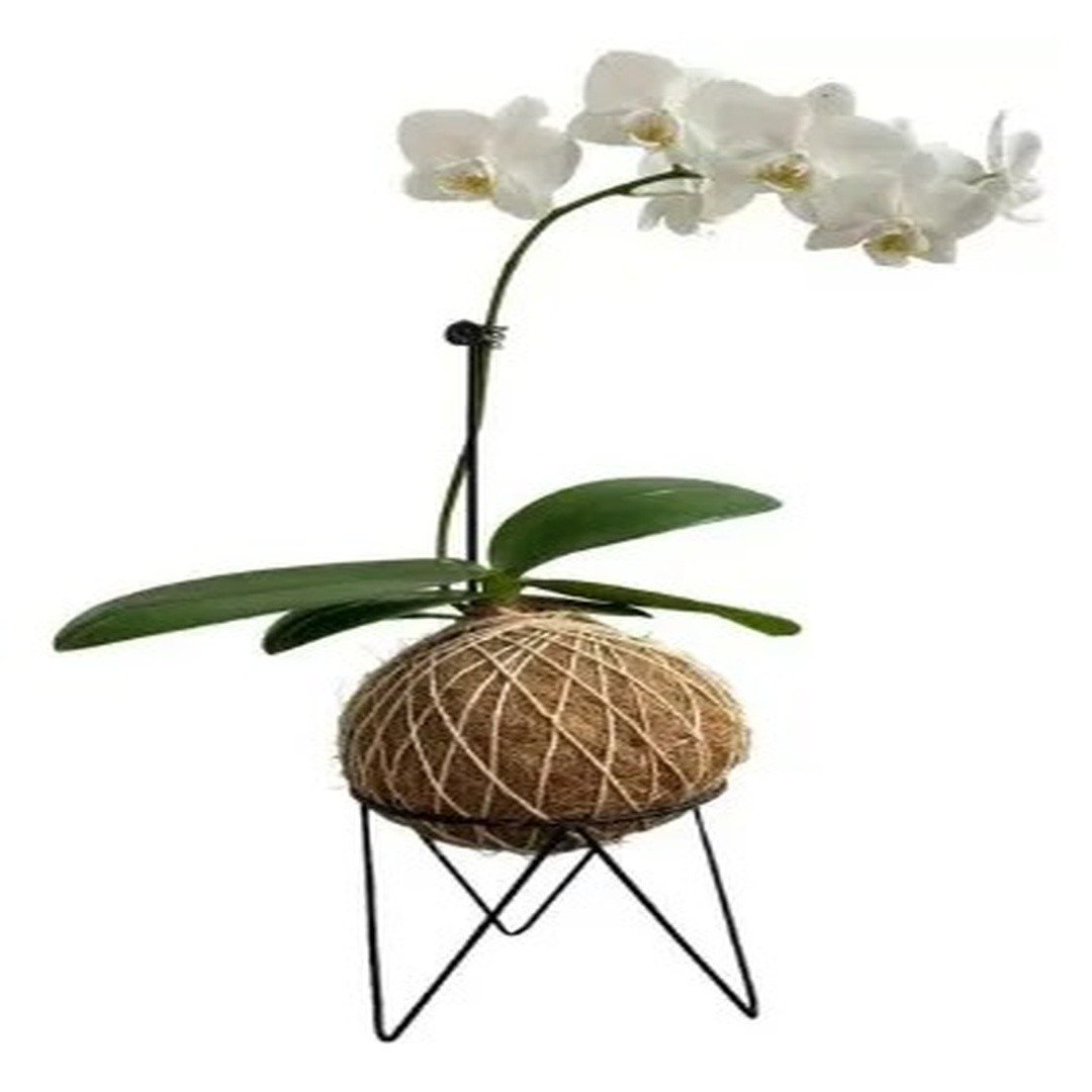 Suportes Aramado Para Kokedama Preto Liso