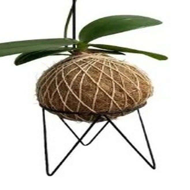 Suportes Aramado Para Kokedama Preto Liso