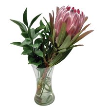 Arranjo de Protea no Vaso com Folhagens