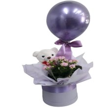 Caixa  Box  com Pelúcia e Flor Plantada