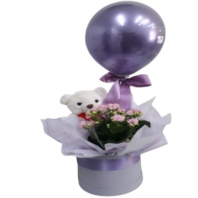 Caixa  Box  com Pelúcia e Flor Plantada