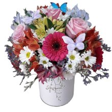 Box Flores Coloridas