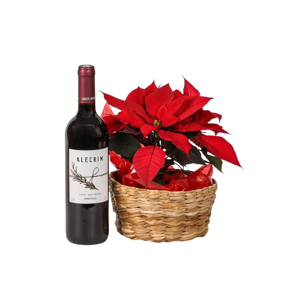 Arranjo Natal Poinsettia com Vinho