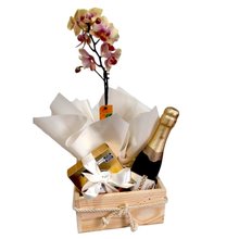 Linda Orquídea, Chandon e Finos Bombons 