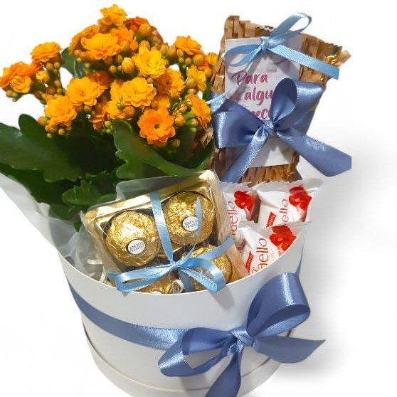 Cesta Box Ilumina com Chocolates - Especial Natal