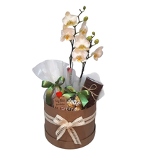Box Boas Festas com Orquídea - Especial Natal