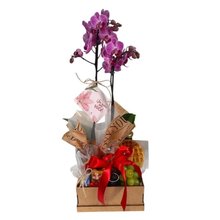 Cesta Café da Manhã ou Tarde Petit Orquídea