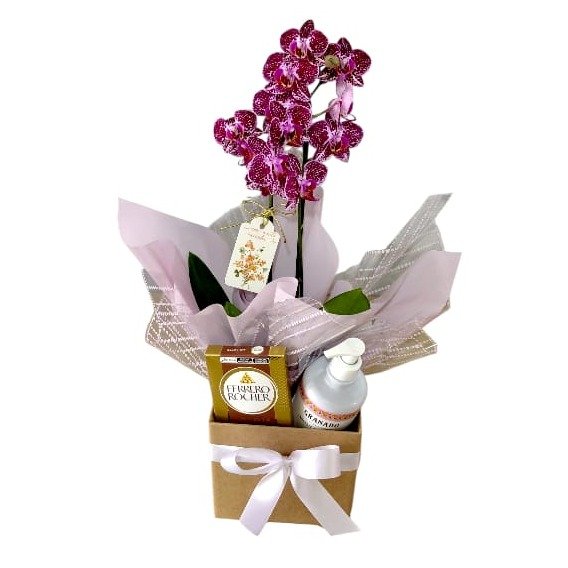 Cesta Lavínia Orquídea Aroma e Sabor