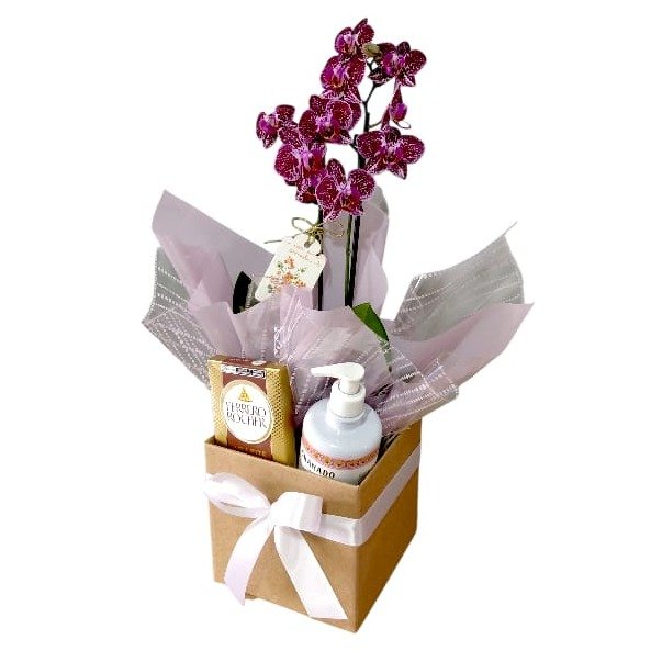 Cesta Lavínia Orquídea Aroma e Sabor