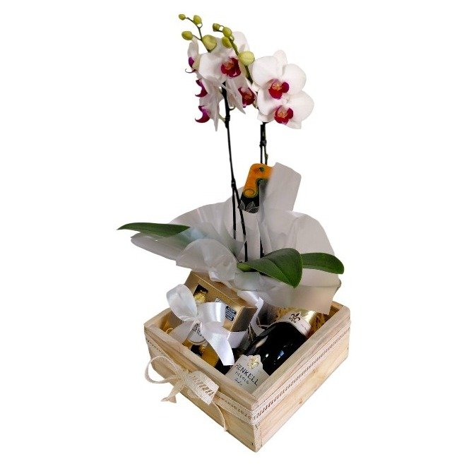 Linda Orquídea, Espumante e Finos Bombons 