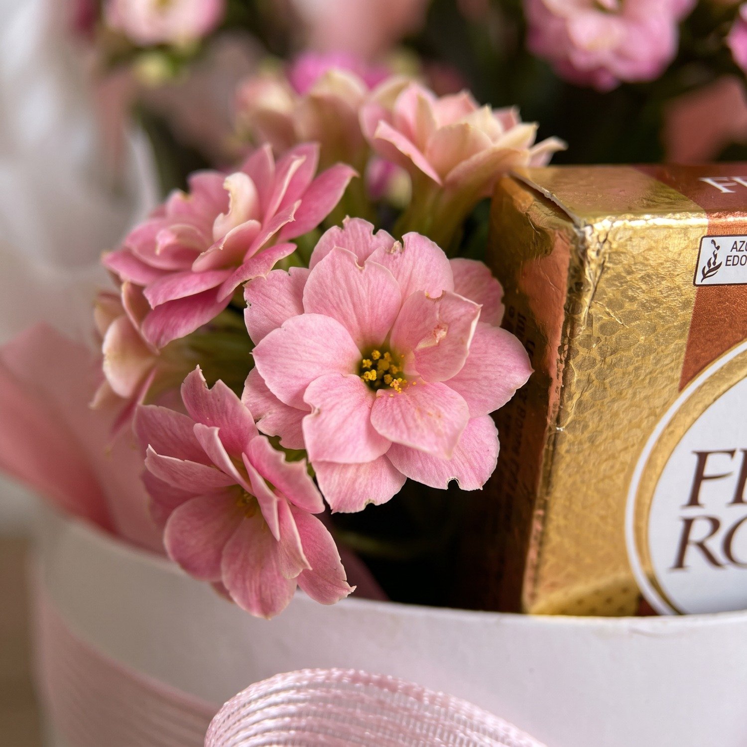Cesta Luana Flores e Chocolate Luxo