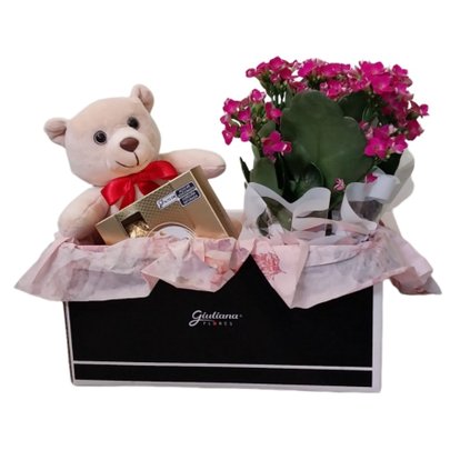Cesta Urso Apaixonado