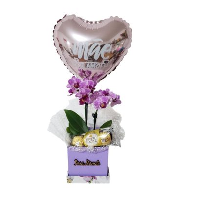 Mini Orquíedea Encanto Mães