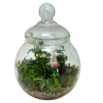 Terrário Com Miniatura