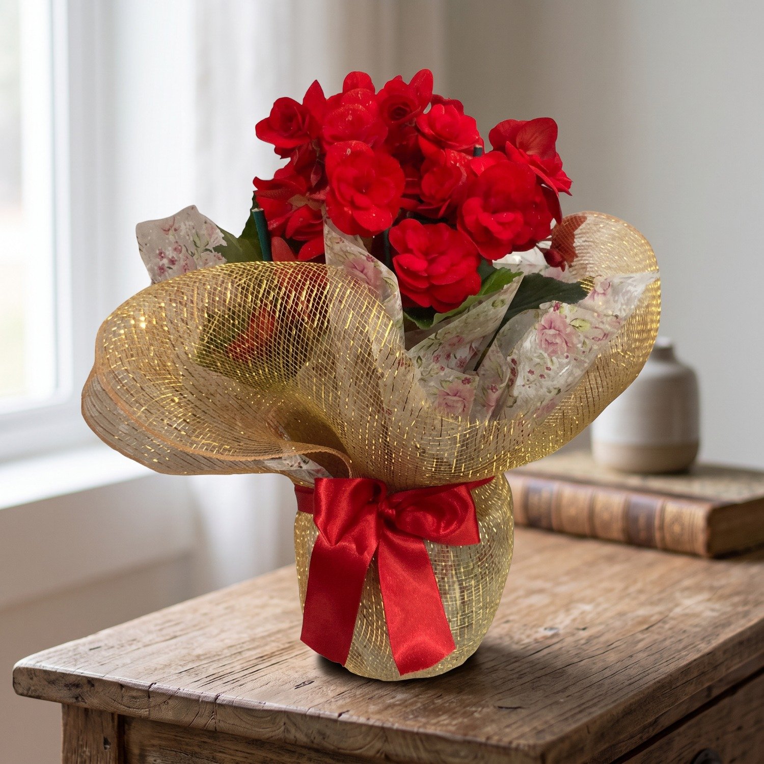 Begonia Vermelha para Presente
