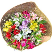 Buquê Jardim Secreto de Astromélias