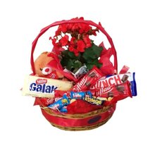 Cesta de Chocolate - Lindo Amor