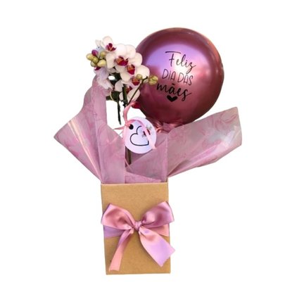 Orquidea Box Kraft