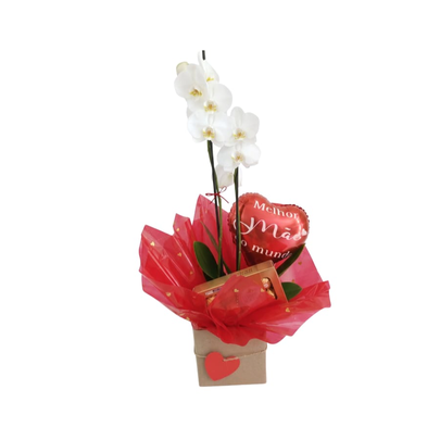 Combo Elegância Orquídea & Ferrero Rocher