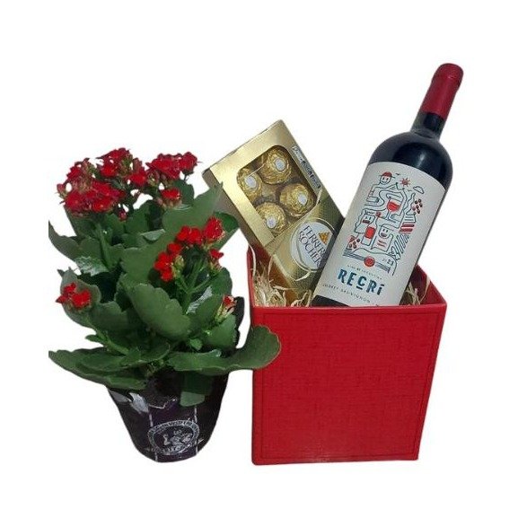 Kit Flor do Dia