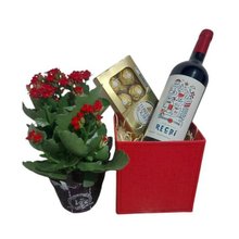 Kit Flor do Dia