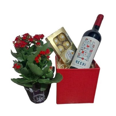 Kit Flor do Dia