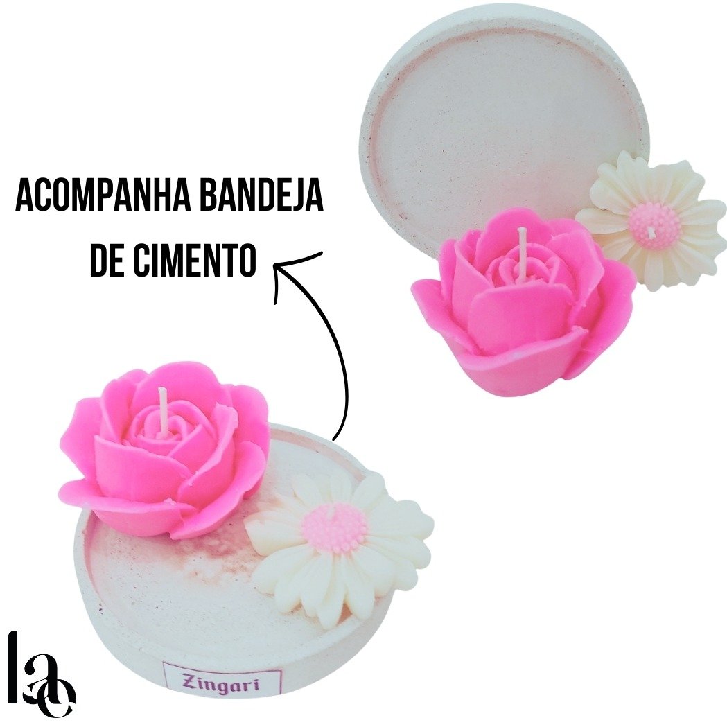 Box Flores do Campo