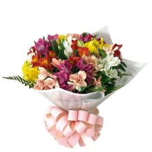 Buquê De Astromélias Colorir