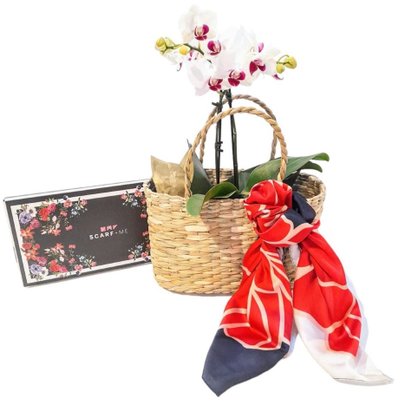 Kit Mimos Lenço Scarf Me, Orquídea e Sacola de Palha
