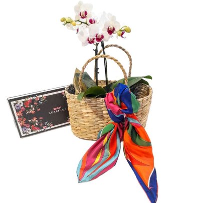 Kit Mimos Lenço Scarf Me, Orquídea e Sacola de Palha