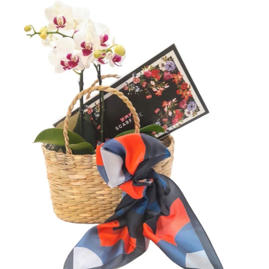 Kit Mimos Lenço Scarf Me, Orquídea e Sacola de Palha 