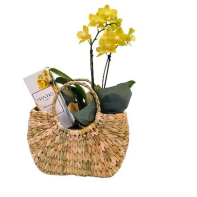 Kit Mimos Home Spray ,Orquídea e Bolsa de Palha