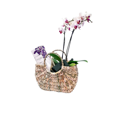 Kit Mimos Home Spray, Orquídea  e Bolsa de Palha