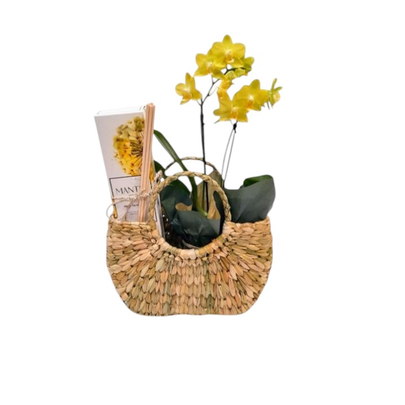 Kit Mimos Difusor Ambiente,Orquídea e Bolsa de Palha