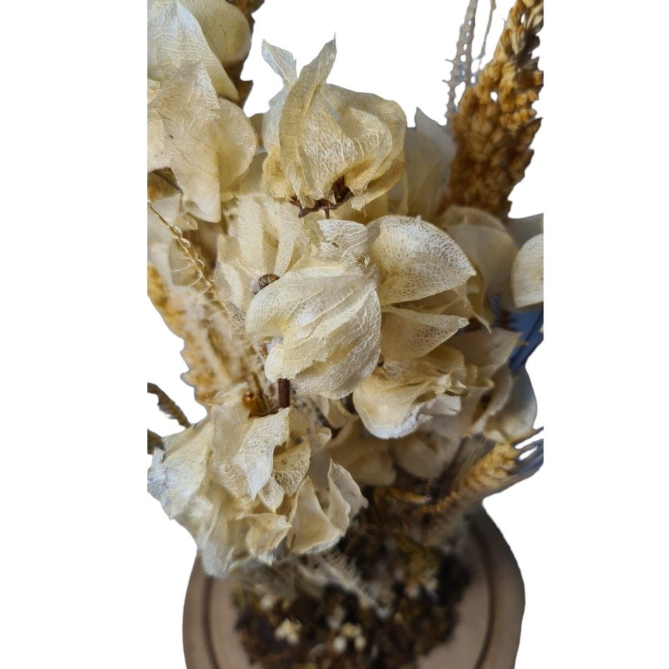 Redoma de vidro com flores desidratadas Coleção Perola
